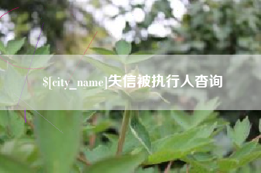 睢县失信被执行人杳询
