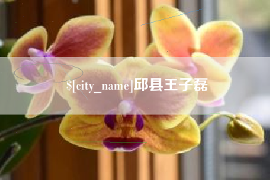 睢县邱县王子磊