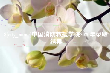 睢县中国消防救援学院2020年录取结果