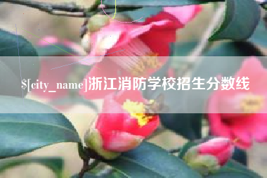 睢县浙江消防学校招生分数线