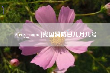 睢县我国消防日几月几号