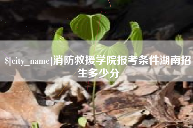 睢县消防救援学院报考条件湖南招生多少分