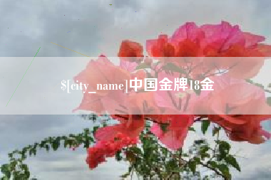 睢县中国金牌18金