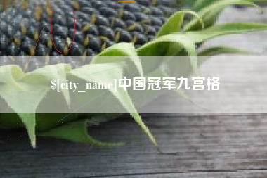 睢县中国冠军九宫格