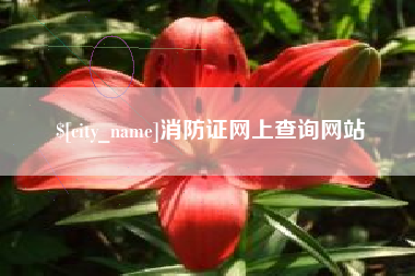 睢县消防证网上查询网站