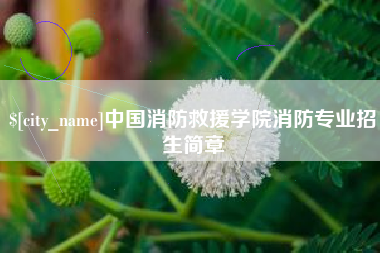 睢县中国消防救援学院消防专业招生简章