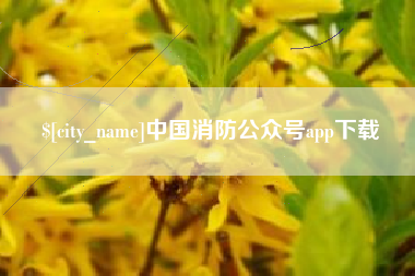 睢县中国消防公众号app下载