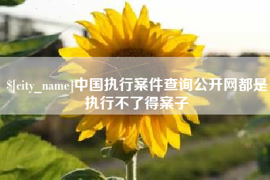 睢县中国执行案件查询公开网都是执行不了得案子
