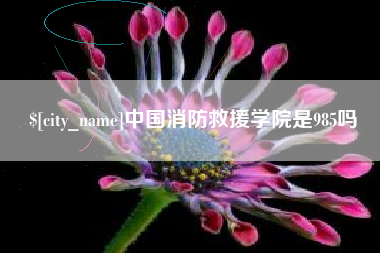 睢县中国消防救援学院是985吗