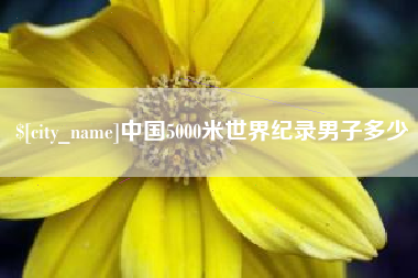 睢县中国5000米世界纪录男子多少