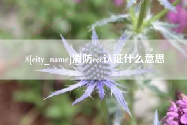 睢县消防ccc认证什么意思
