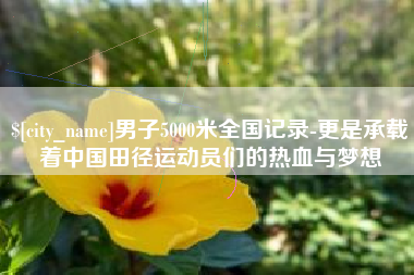 睢县男子5000米全国记录-更是承载着中国田径运动员们的热血与梦想