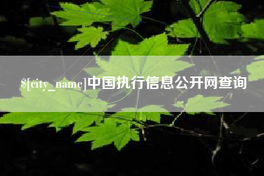 睢县中国执行信息公开网查询