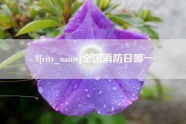 睢县全国消防日哪一