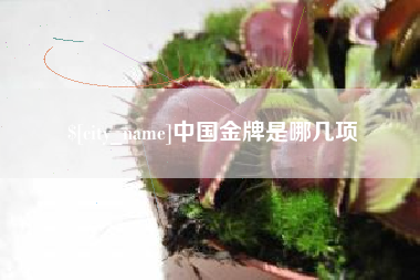 睢县中国金牌是哪几项