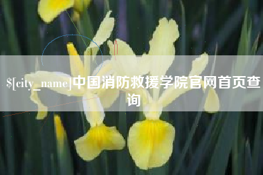 睢县中国消防救援学院官网首页查询