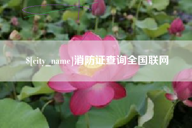 睢县消防证查询全国联网