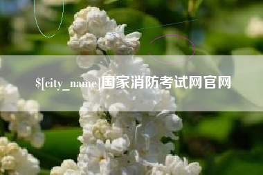 睢县国家消防考试网官网