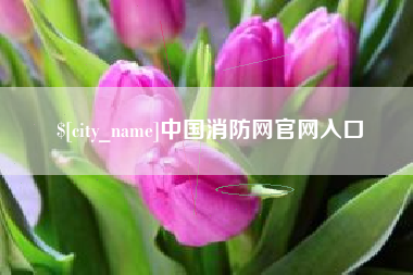 睢县中国消防网官网入口