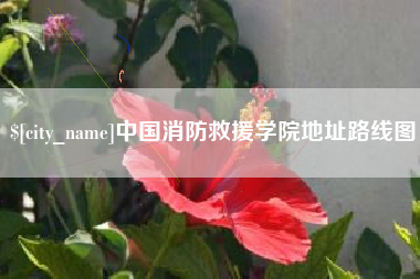 睢县中国消防救援学院地址路线图