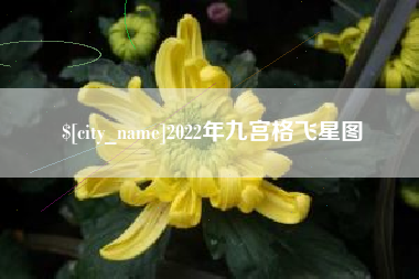睢县2022年九宫格飞星图