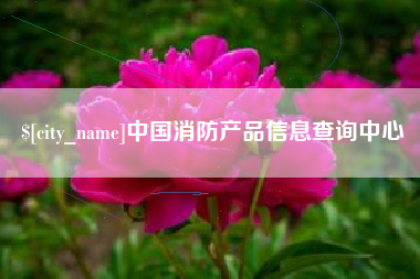 睢县中国消防产品信息查询中心