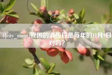 睢县我国的消防日是每年的11月9日对吗？