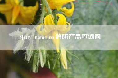 睢县ccc消防产品查询网