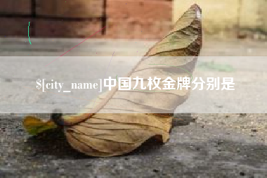 睢县中国九枚金牌分别是