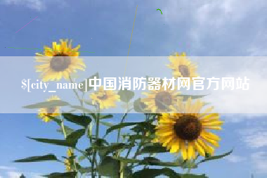 睢县中国消防器材网官方网站