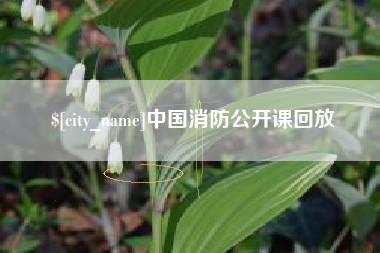 睢县中国消防公开课回放