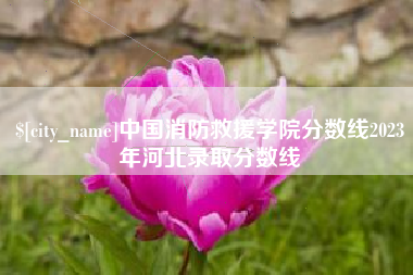 睢县中国消防救援学院分数线2023年河北录取分数线