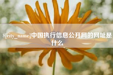 睢县中国执行信息公开网的网址是什么