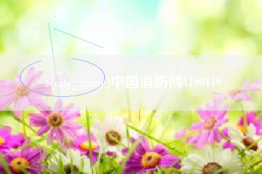 睢县中国消防网1190119