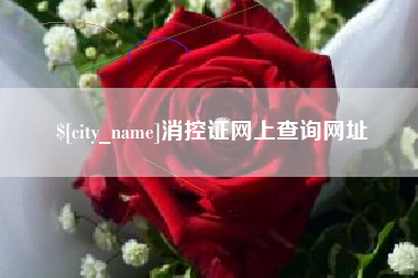 睢县消控证网上查询网址