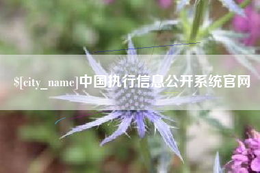 睢县中国执行信息公开系统官网