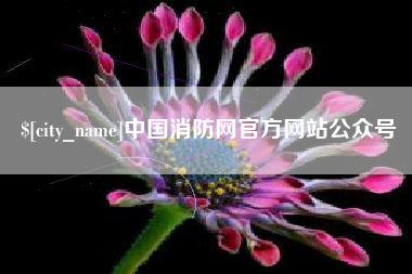 睢县中国消防网官方网站公众号