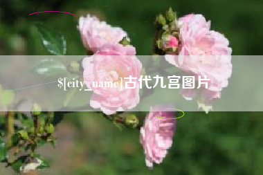 睢县古代九宫图片