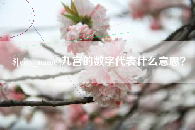 睢县九宫的数字代表什么意思？