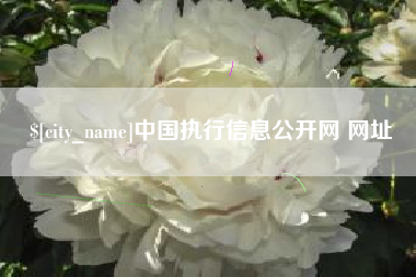 睢县中国执行信息公开网 网址