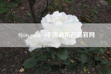 睢县中国消防产品官网