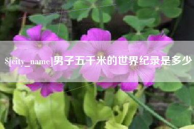 睢县男子五千米的世界纪录是多少