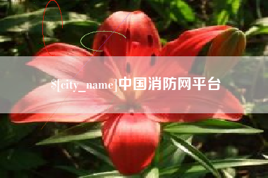 睢县中国消防网平台