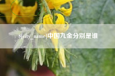 睢县中国九金分别是谁