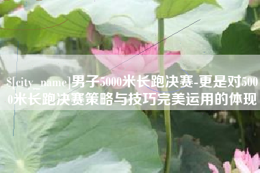 睢县男子5000米长跑决赛-更是对5000米长跑决赛策略与技巧完美运用的体现