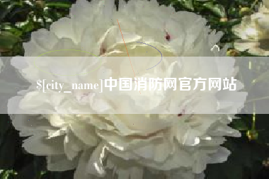 睢县中国消防网官方网站
