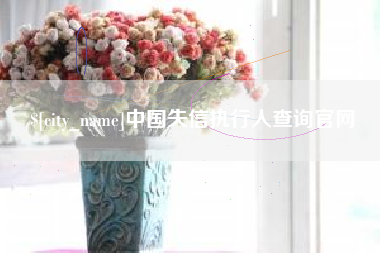 睢县中国失信执行人查询官网