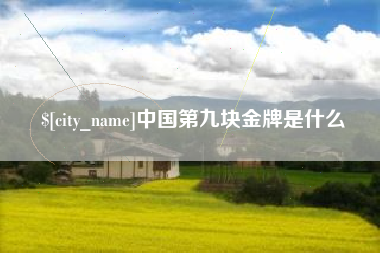 睢县中国第九块金牌是什么