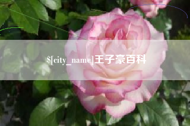 睢县王子豪百科