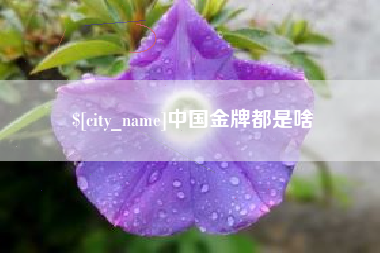 睢县中国金牌都是啥